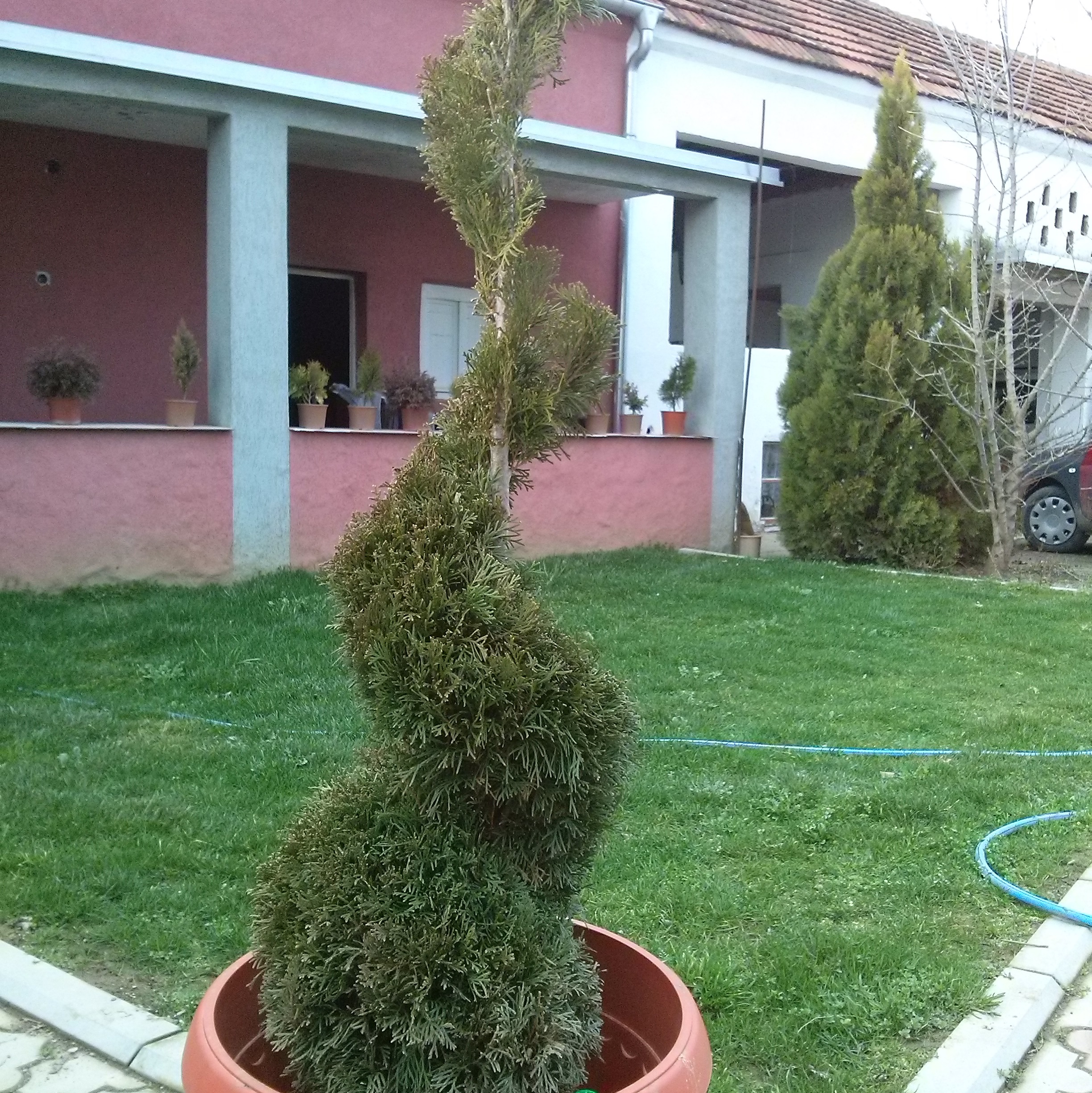 CAM01397
