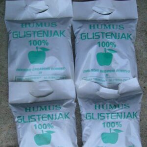 Glistenjak Miki