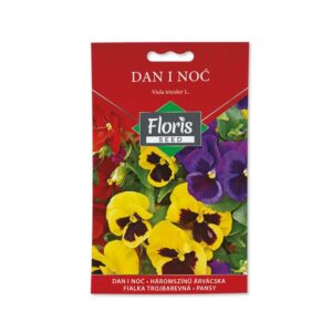 dan i noc