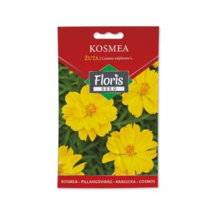Kosmea Žuta