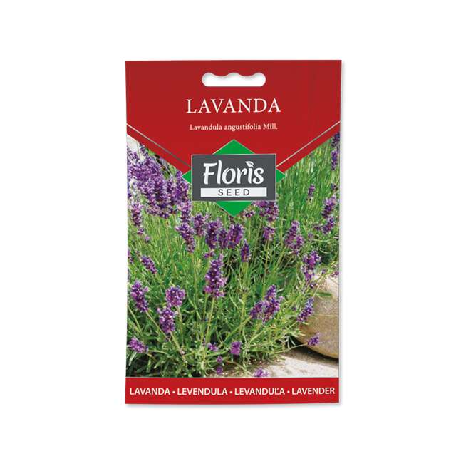FLORIS-Začinsko bilje Lavanda