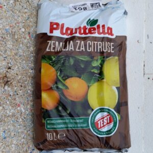 Supstrat za citruse
