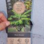 Banana Mussa Tropicana